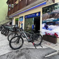 Bear bike Center (Via Tenaglia)