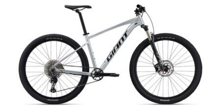 FRONT MUSCOLARE