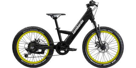 EMTB FRONT ELETTRICHE