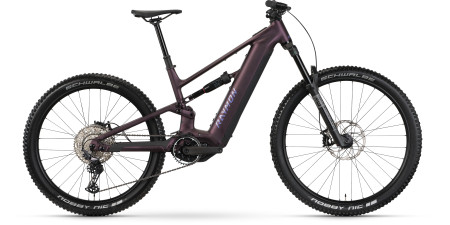 e-mtb FULL TOP&nbsp;RAYMON RAVOR COMP